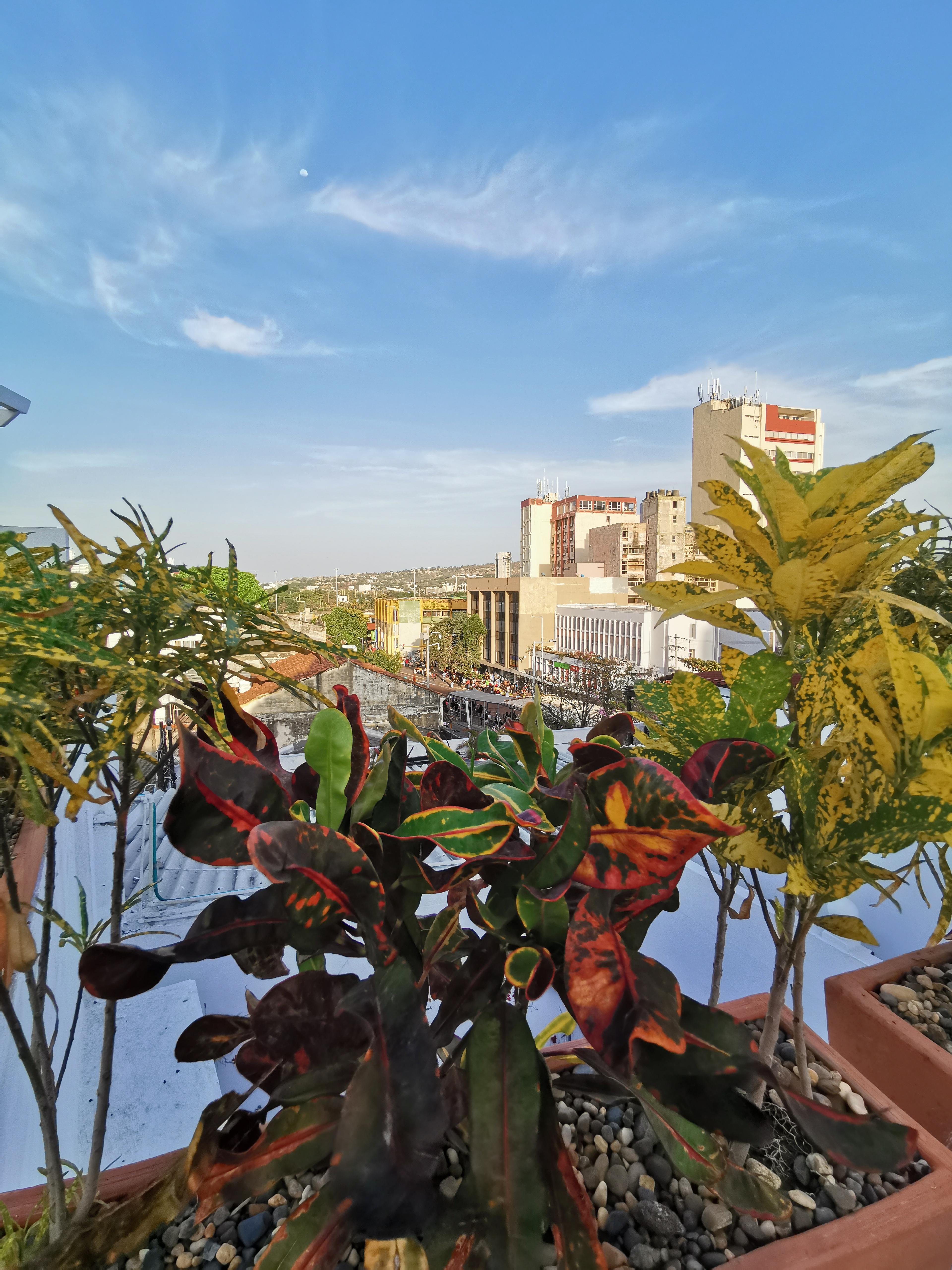 Luka Cartagena Hotel エクステリア 写真